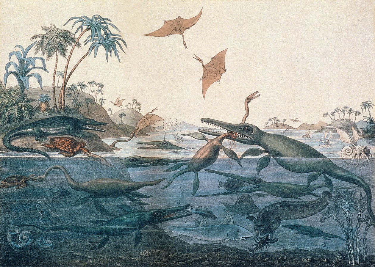 Duria antiquior (Ancient Dorset), en fantasifull rekonstruksjon av livet i jurahavet, gravert av George Scharf (1820-95) trykt av Charles Joseph Hullmandel (1789-1850) av Henry Thomas De La Beche