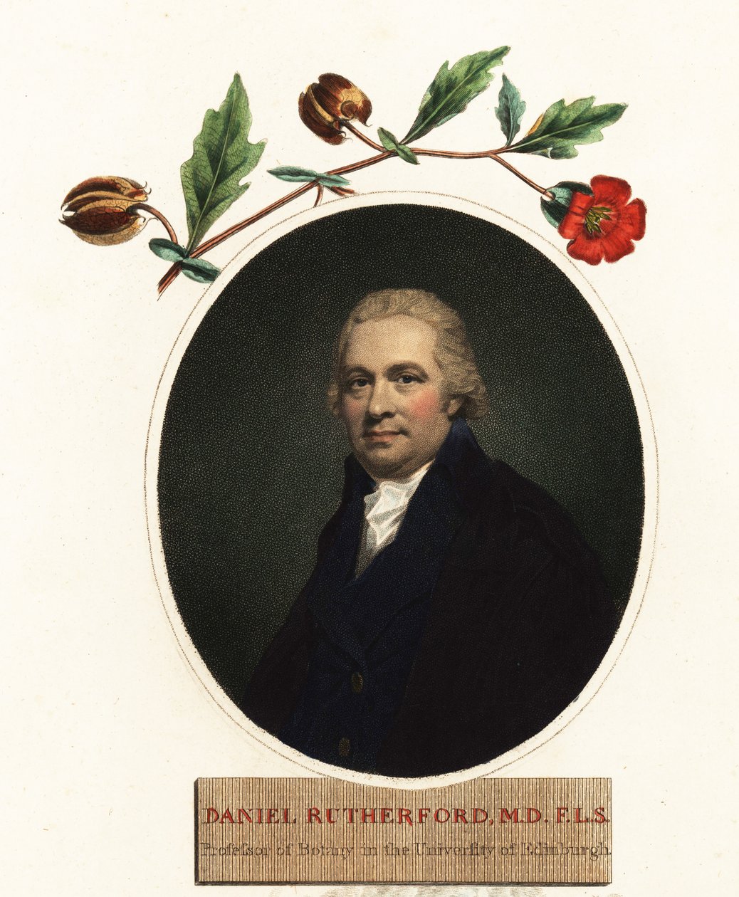 Portrett av Daniel Rutherford, botaniker.1805 (gravering) av Henry (after) Raeburn