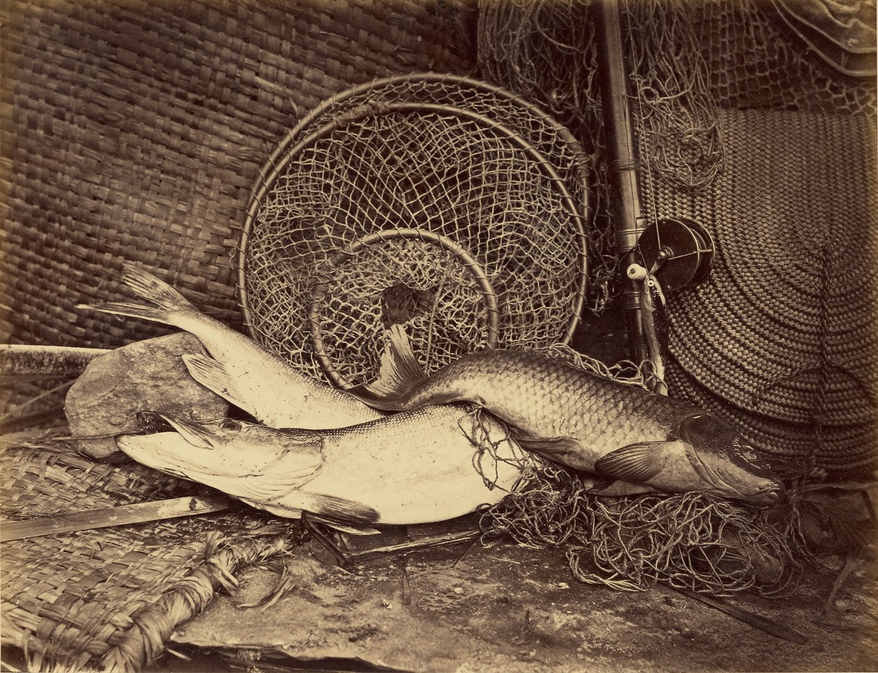  av Henry Bailey