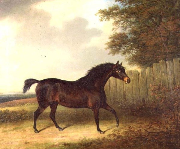 En mørk bukthingst i et landskap av Henry Bernard Chalon