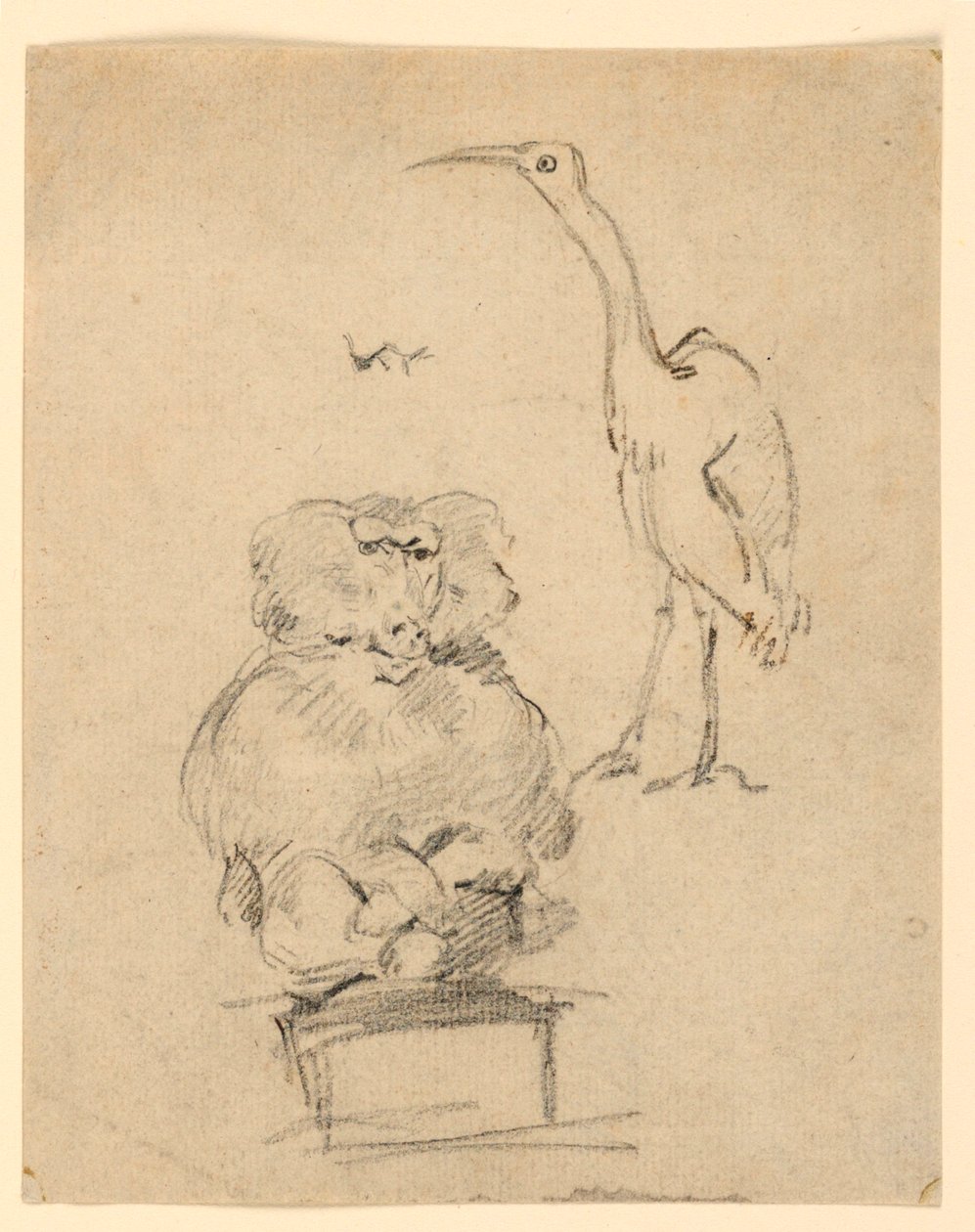 Studier av en hegre og en ape av Henry Bernard Chalon