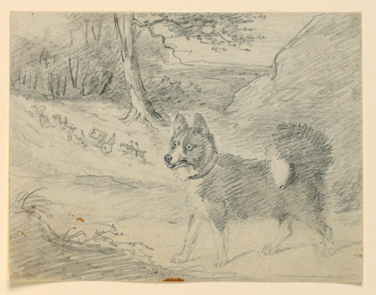 Studie av en elghund av Henry Bernard Chalon
