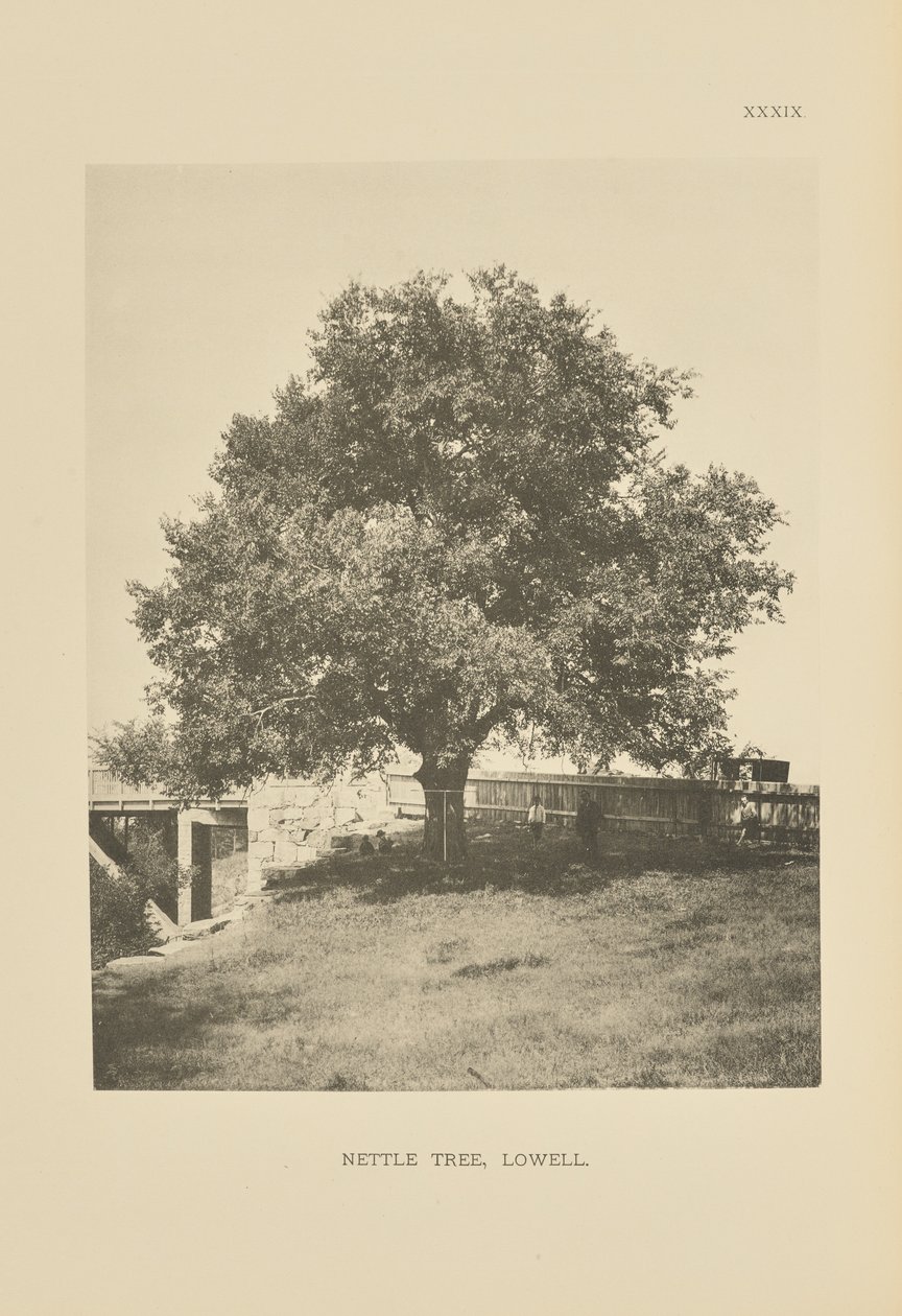  av Henry Brooks