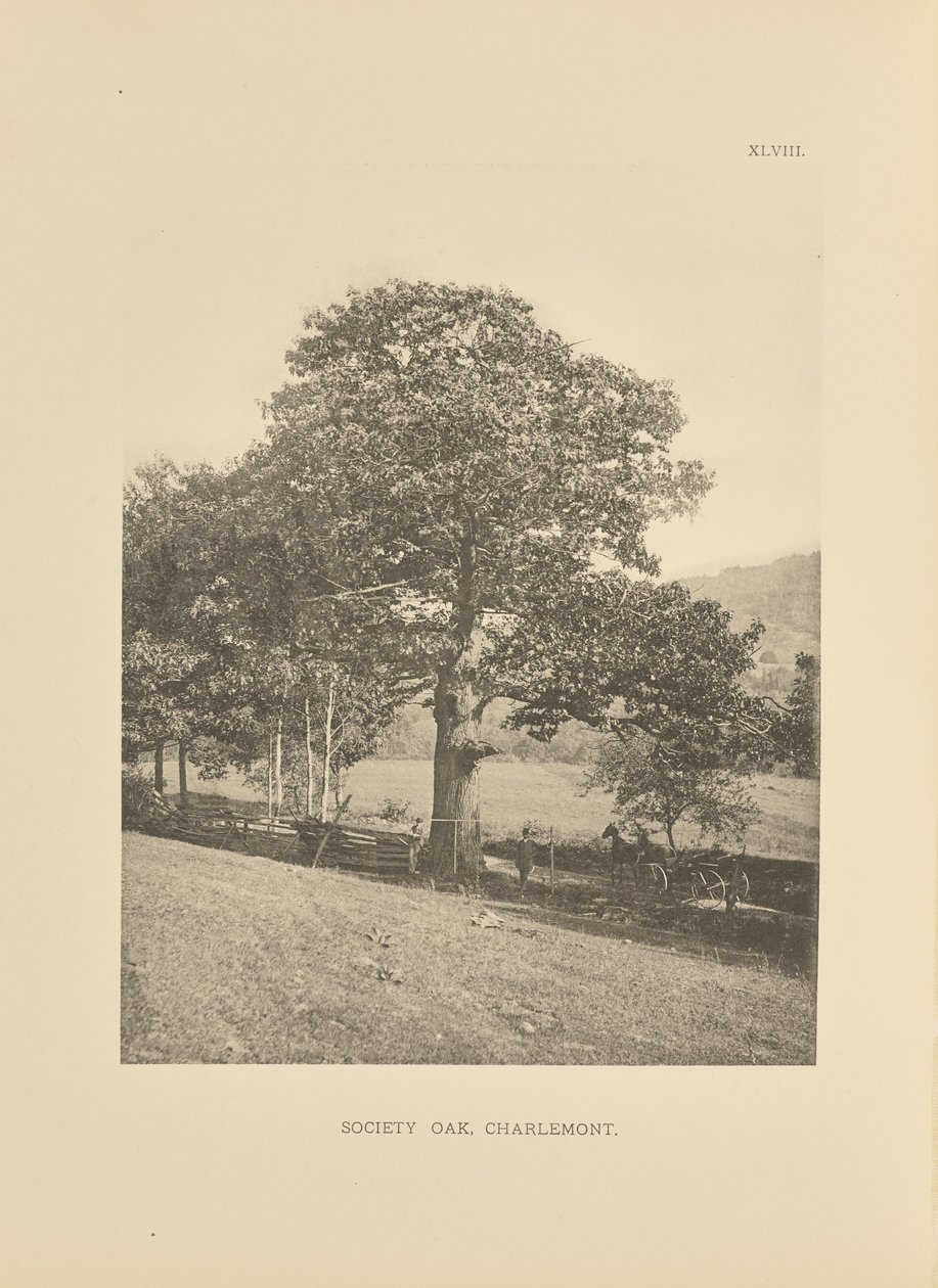 av Henry Brooks