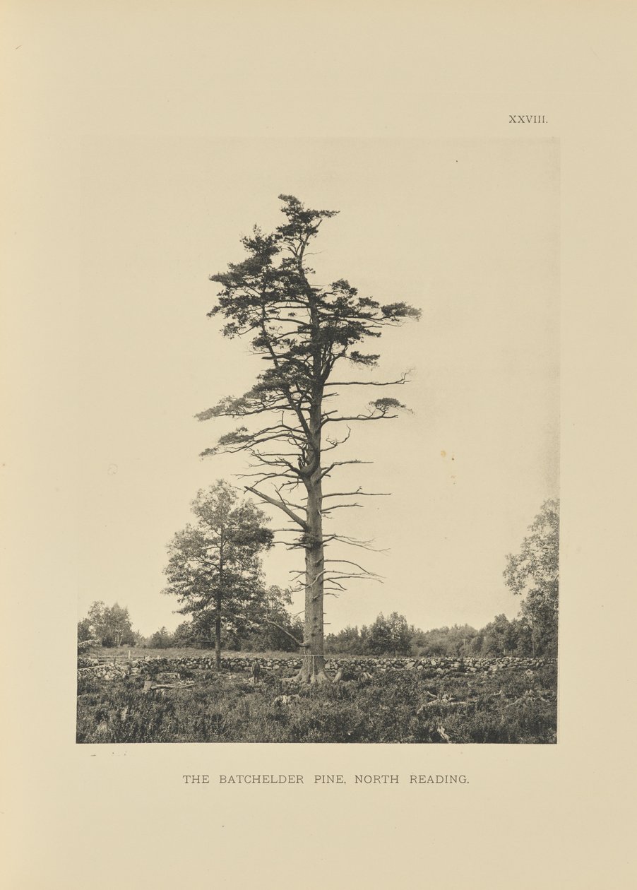  av Henry Brooks