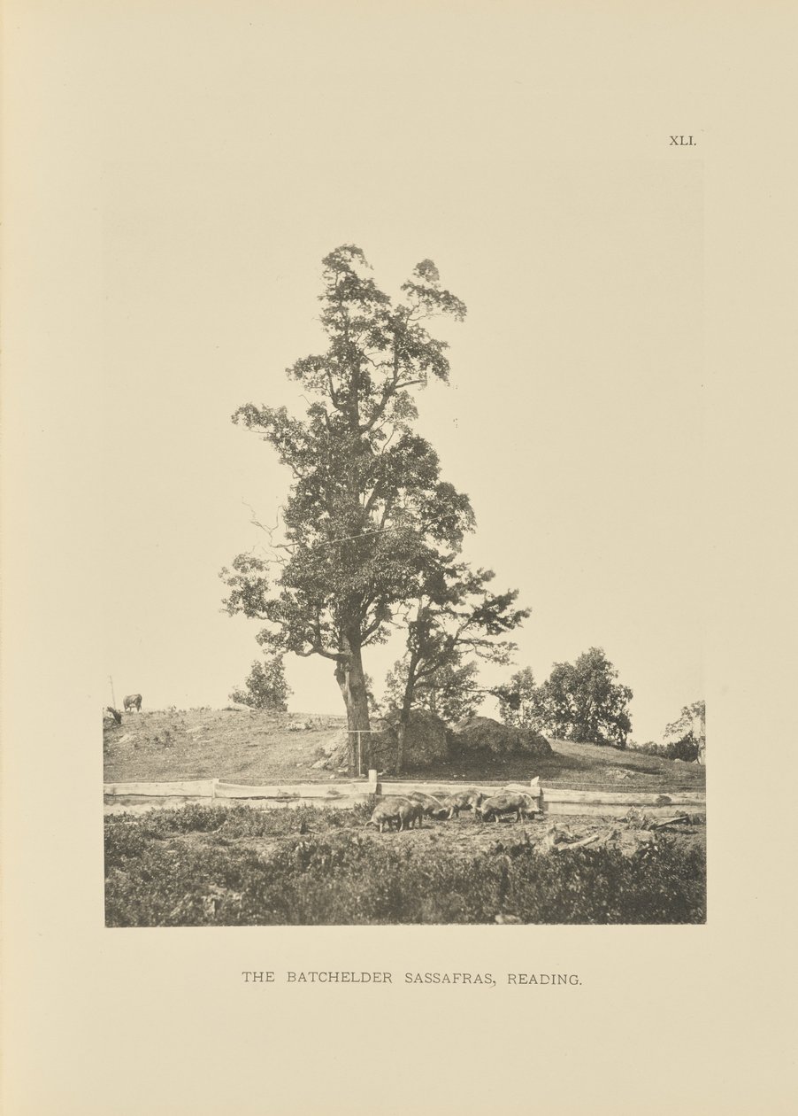  av Henry Brooks