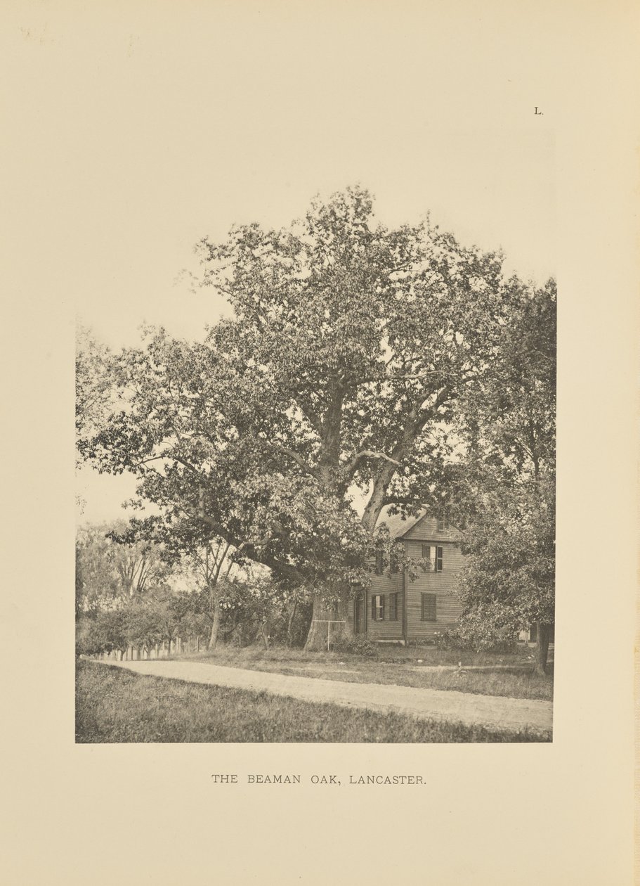  av Henry Brooks