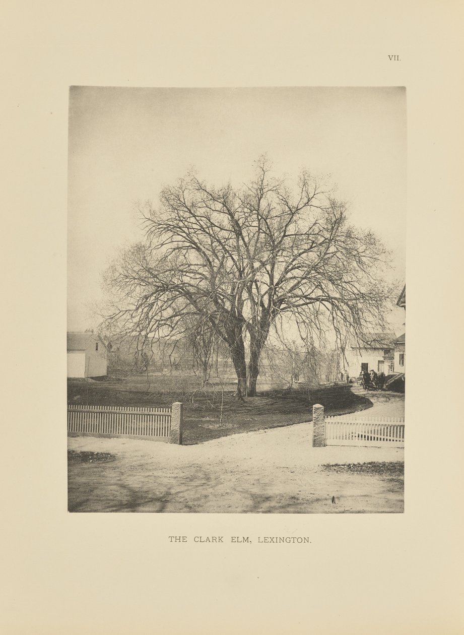  av Henry Brooks
