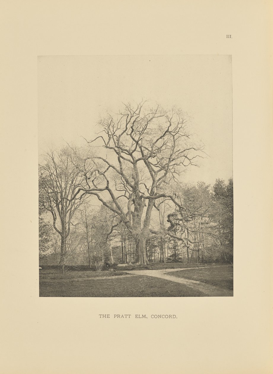  av Henry Brooks