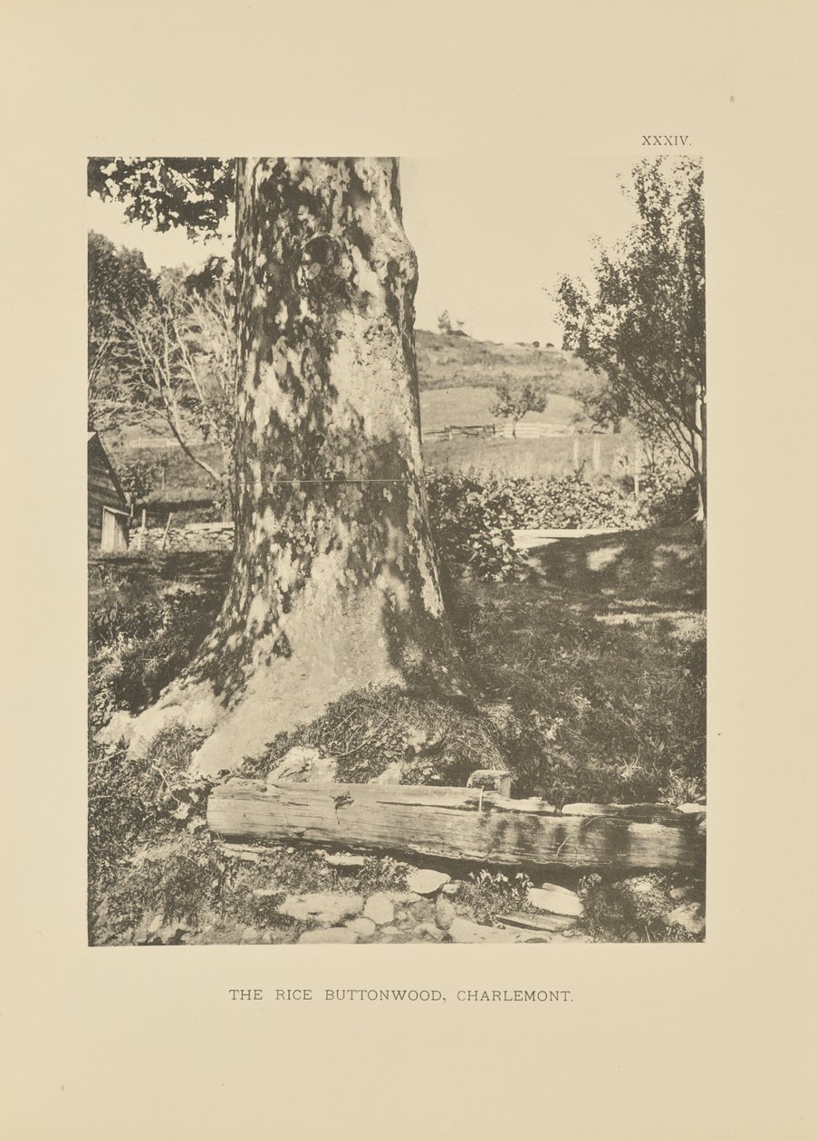  av Henry Brooks
