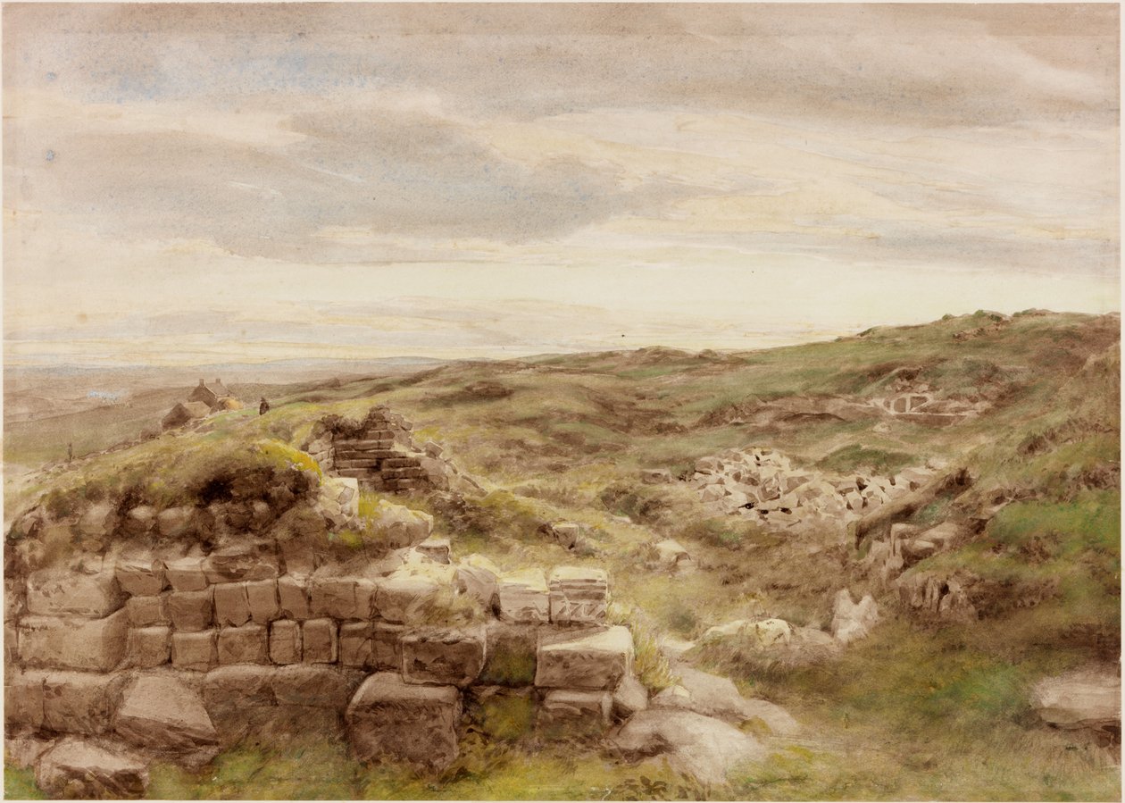 Husmannsplasser (kroppsfarge) av Henry Burdon Richardson