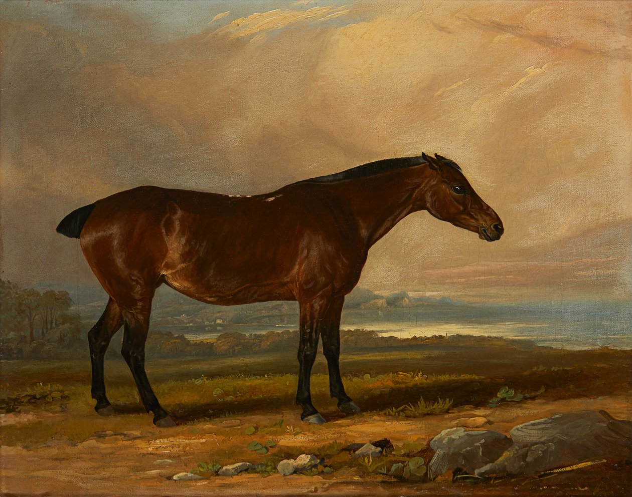 Studie av en Bay Hunter in a Landscape (olje på lerret) av Henry Calvert
