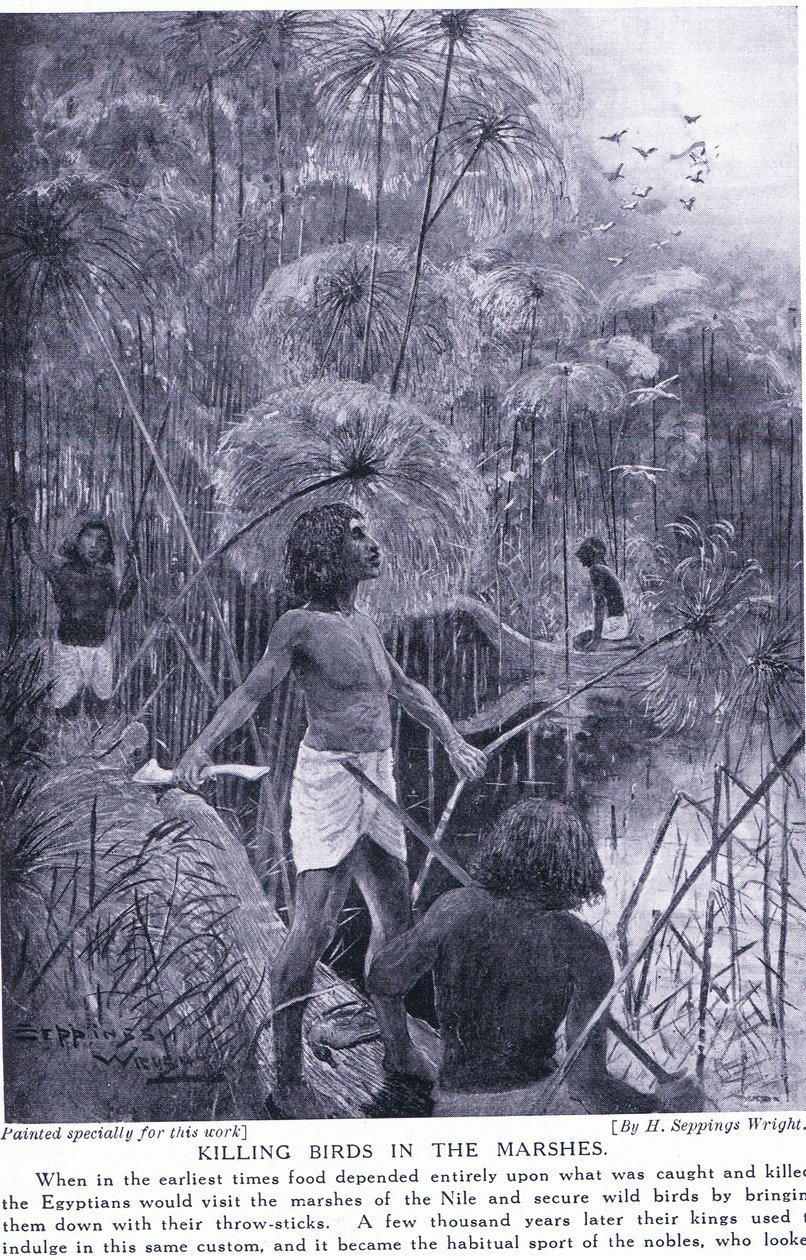 Avliving av fugler i myrene, ca. 1920 av Henry Charles Seppings Wright