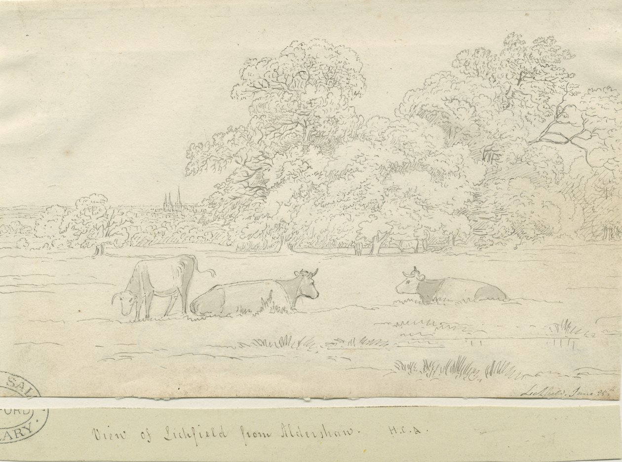 Lichfield - Utsikt fra Aldershaw av Henry Curzon Allport
