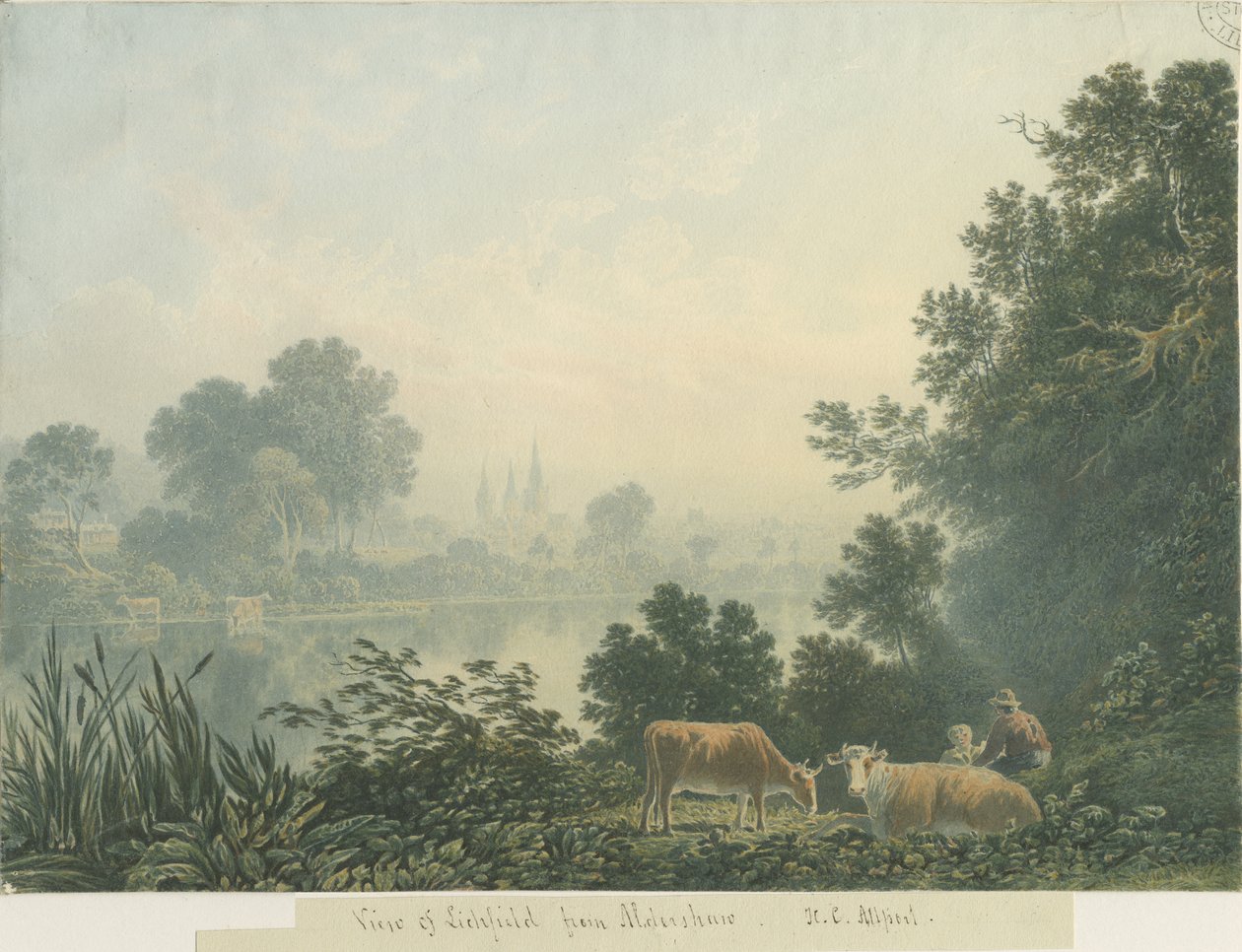 Lichfield Cathedral - Utsikt fra Aldershaw av Henry Curzon Allport