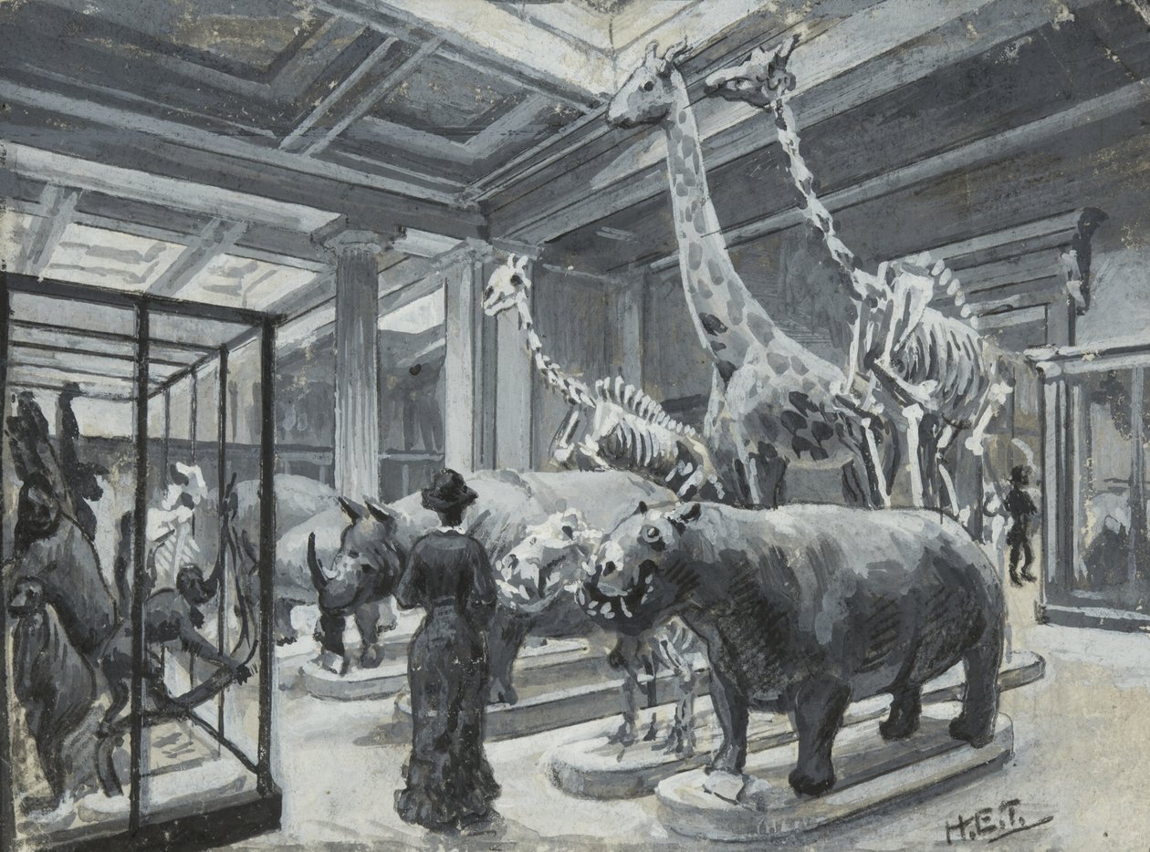 Innvendig visning av British Museum som viser galleriet som inneholder dyreutstillinger, ca. 1880 av Henry Edward Tidmarsh