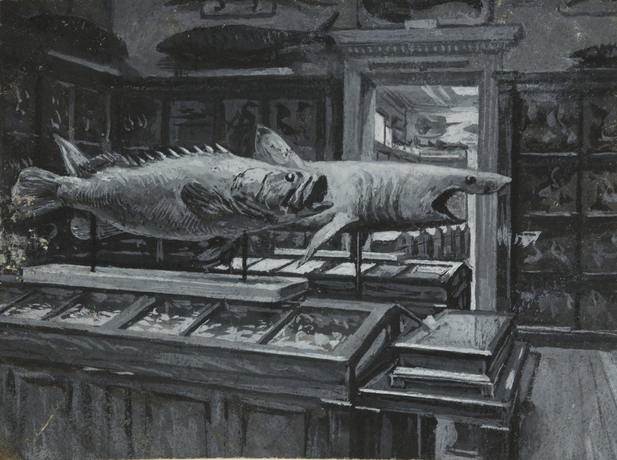 Innvendig visning av British Museum som viser galleriet med fiskeutstillinger, ca. 1880 (vask og kroppsfarge på papir) av Henry Edward Tidmarsh