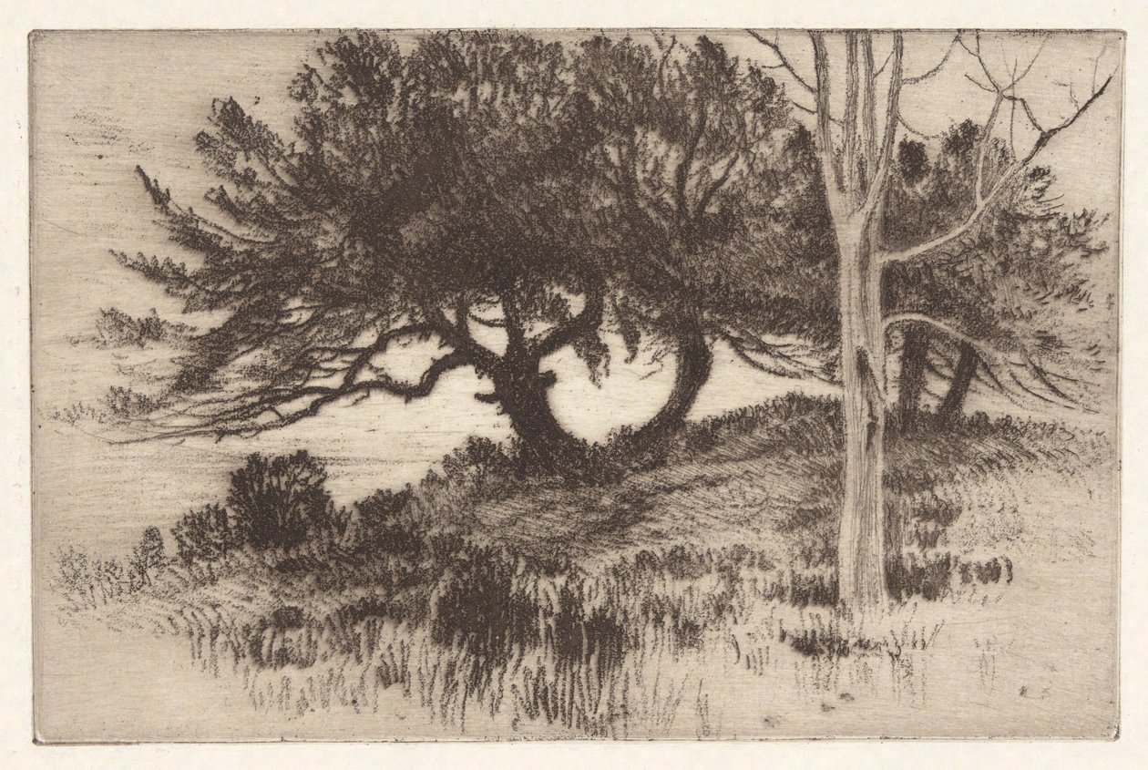 Nær sjøen av Henry Farrer