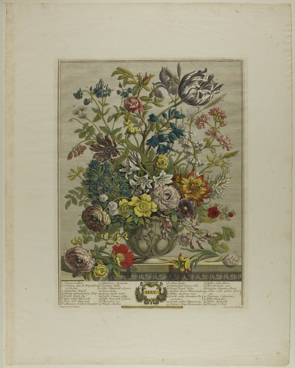 mai, fra Tolv måneder med blomster av Henry Fletcher