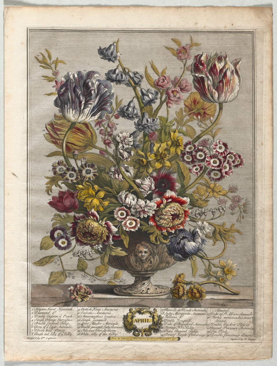 Tolv måneder med blomster: april av Henry Fletcher
