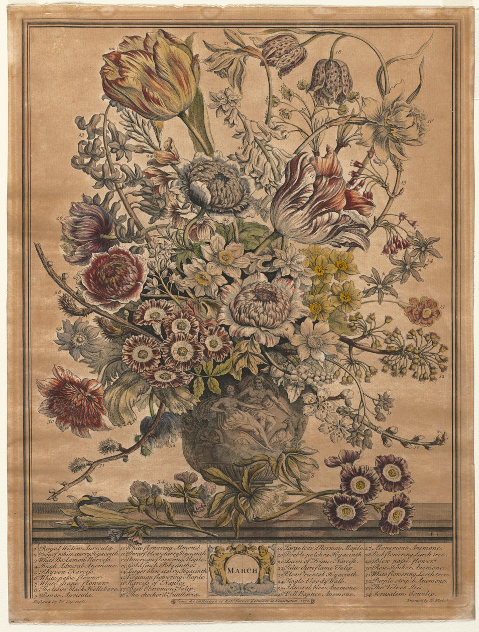 Twelve Months of Flowers:  March   1293323   no       norwegian Successfully Translated  Original: Alexandre Ier, tsar de Russie (1777-1825) - Tsar Alexander I and Russian officers - Finert (Finart), Noel Dieudonne (1797-1852) - 1815 - Watercolour on paper av Henry Fletcher