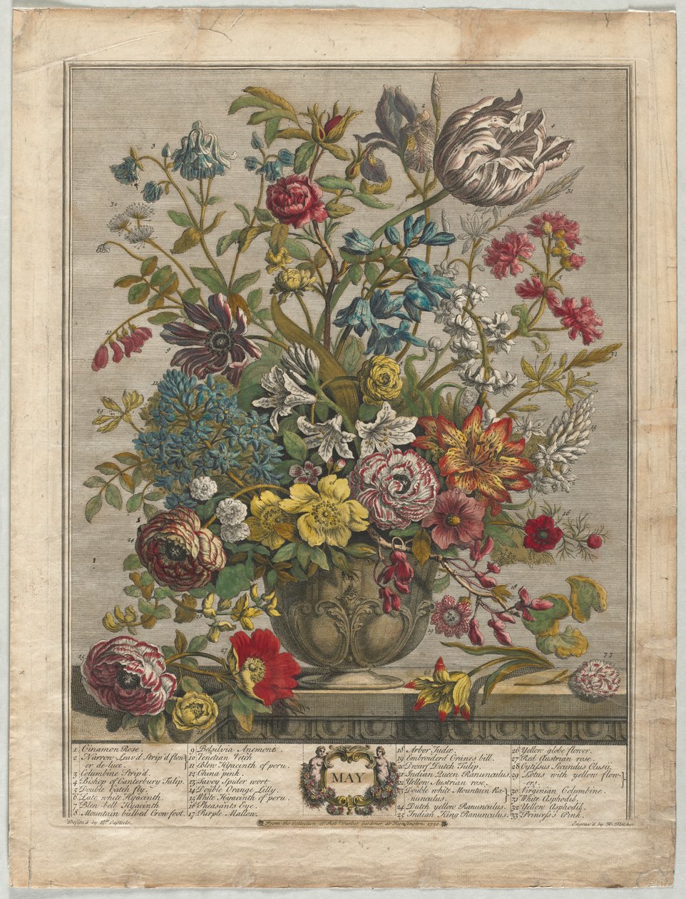 Tolv måneder med blomster: mai av Henry Fletcher