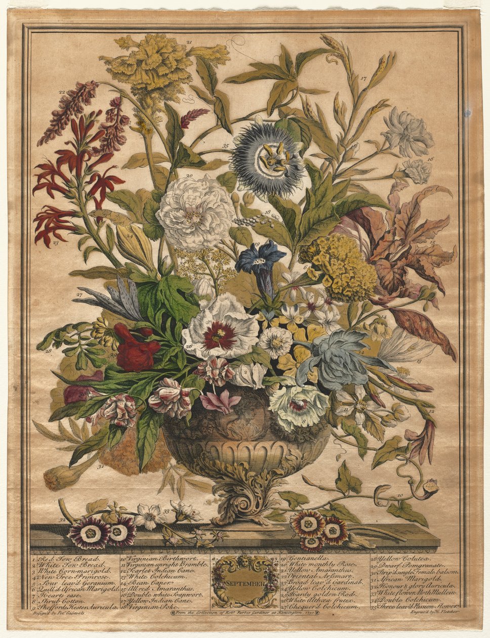 Tolv måneder med blomster: september av Henry Fletcher