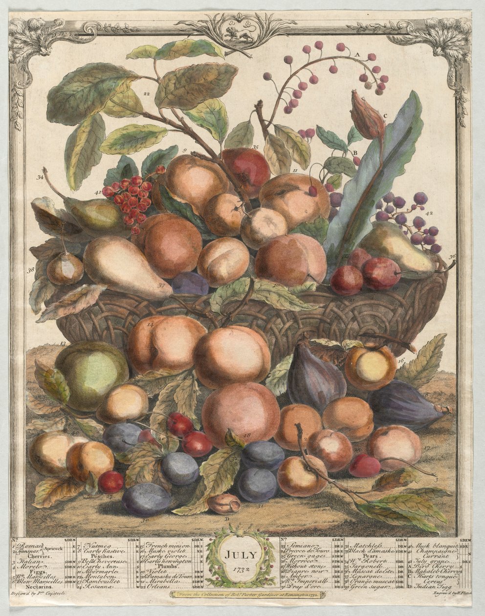 Tolv måneder med frukt: juli 1732. av Henry Fletcher