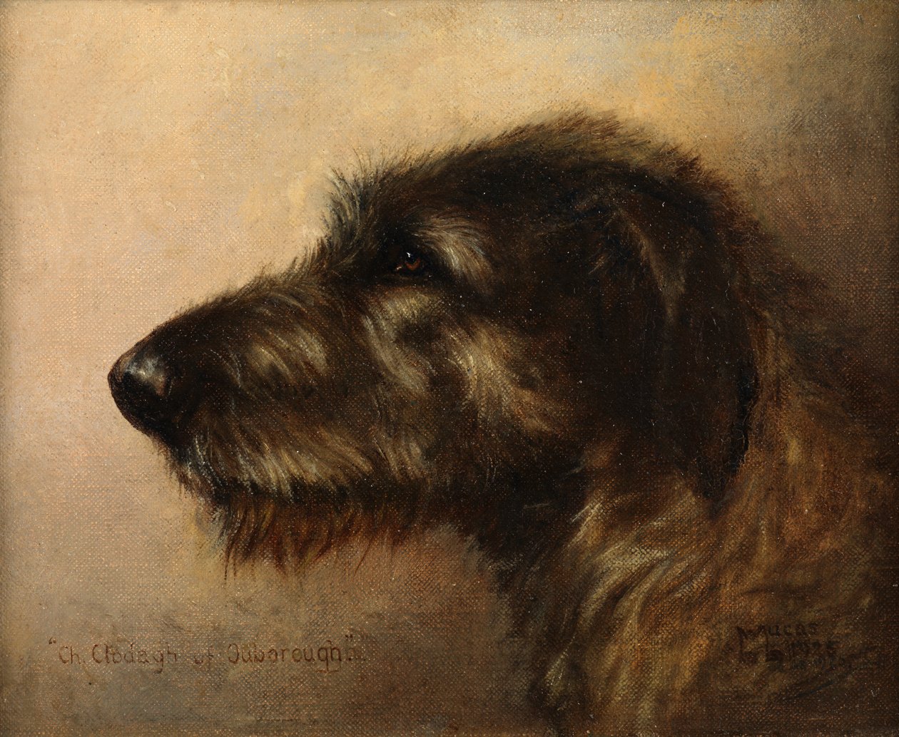 Champion Clodagh av Ouborough, den irske ulvehunden av Henry Frederick Lucas Lucas