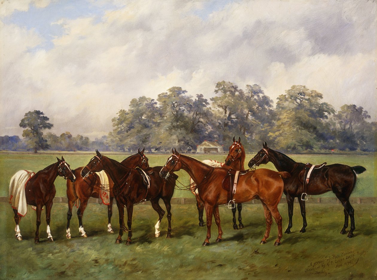 En gruppe poloponnier, delikat, gull, rødskinn, frøken Edge og Piper, eiendommen til Sir Humphrey de Trafford, Bart, 1895 av Henry Frederick Lucas Lucas