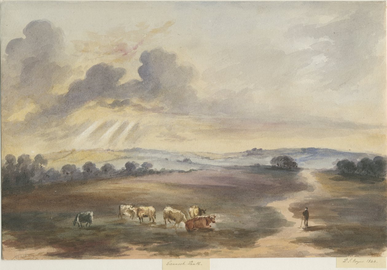 Cannock Chase - "Heath": vannfargemaleri, 1844 av Henry James Noyes