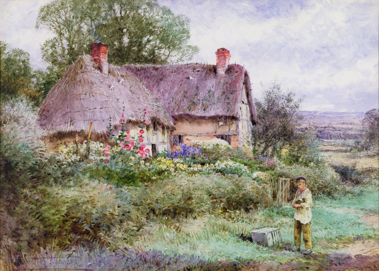 Det nye kjæledyret (akvarell) av Henry John Sylvester Stannard