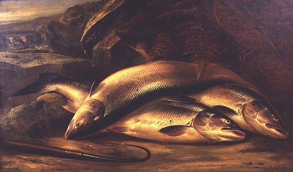 Stilleben av laks av Henry Leonidas Rolfe