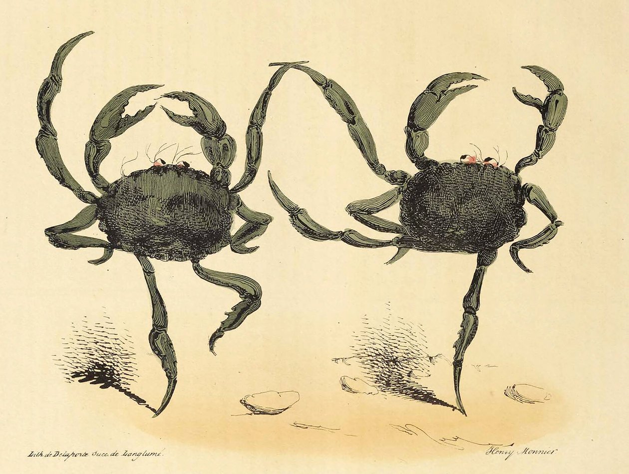 Fantastisk dans fra La Caricature, pub. 1831 litografi, 1831. av Henry Monnier