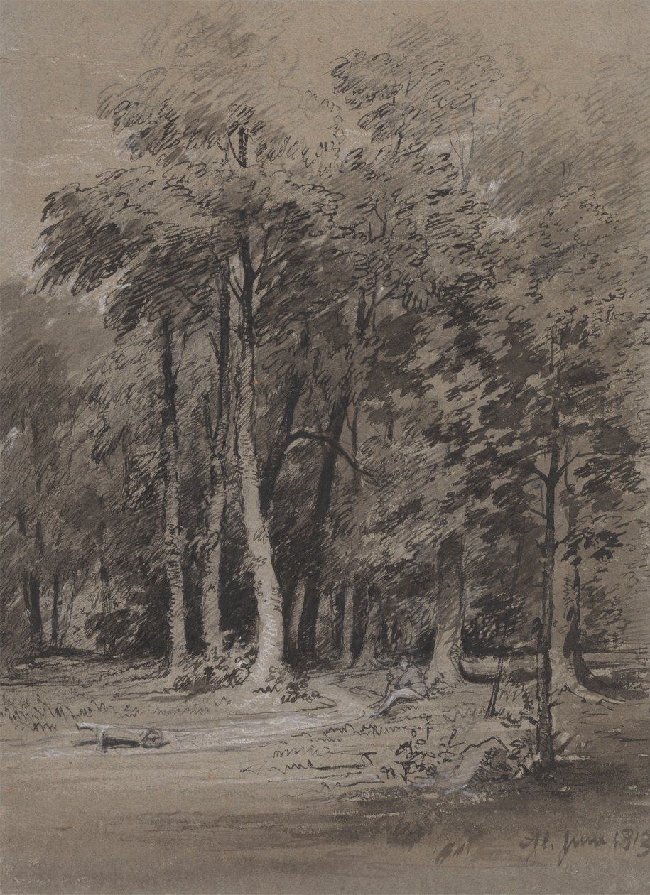 Et skogkledd spor av Henry Monro