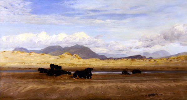 Kysten av Nord-Wales, storfe som soler seg på stranden av Henry Moore