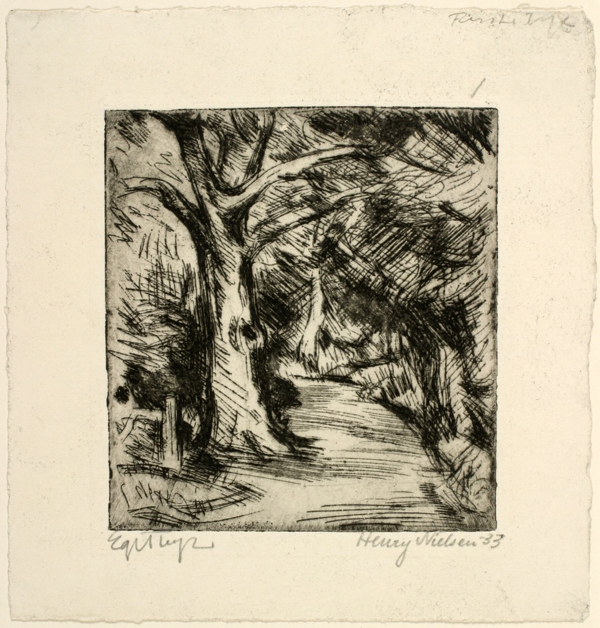 Skogsvei. Riis skog av Henry Nielsen