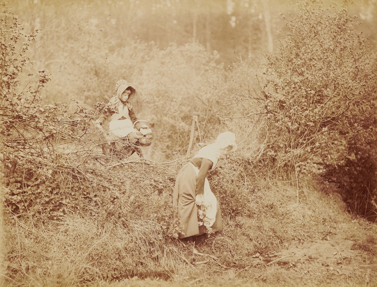 Over hekk og grøft av Henry Peach Robinson