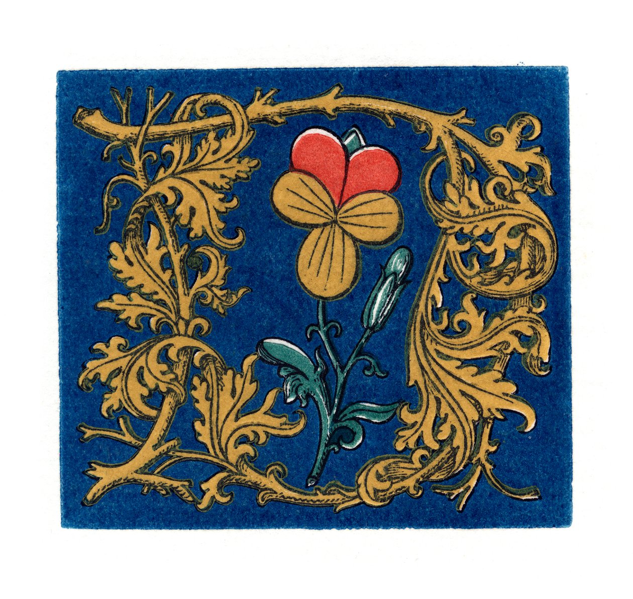 Opprinnelig bokstav D, 1843. av Henry Shaw