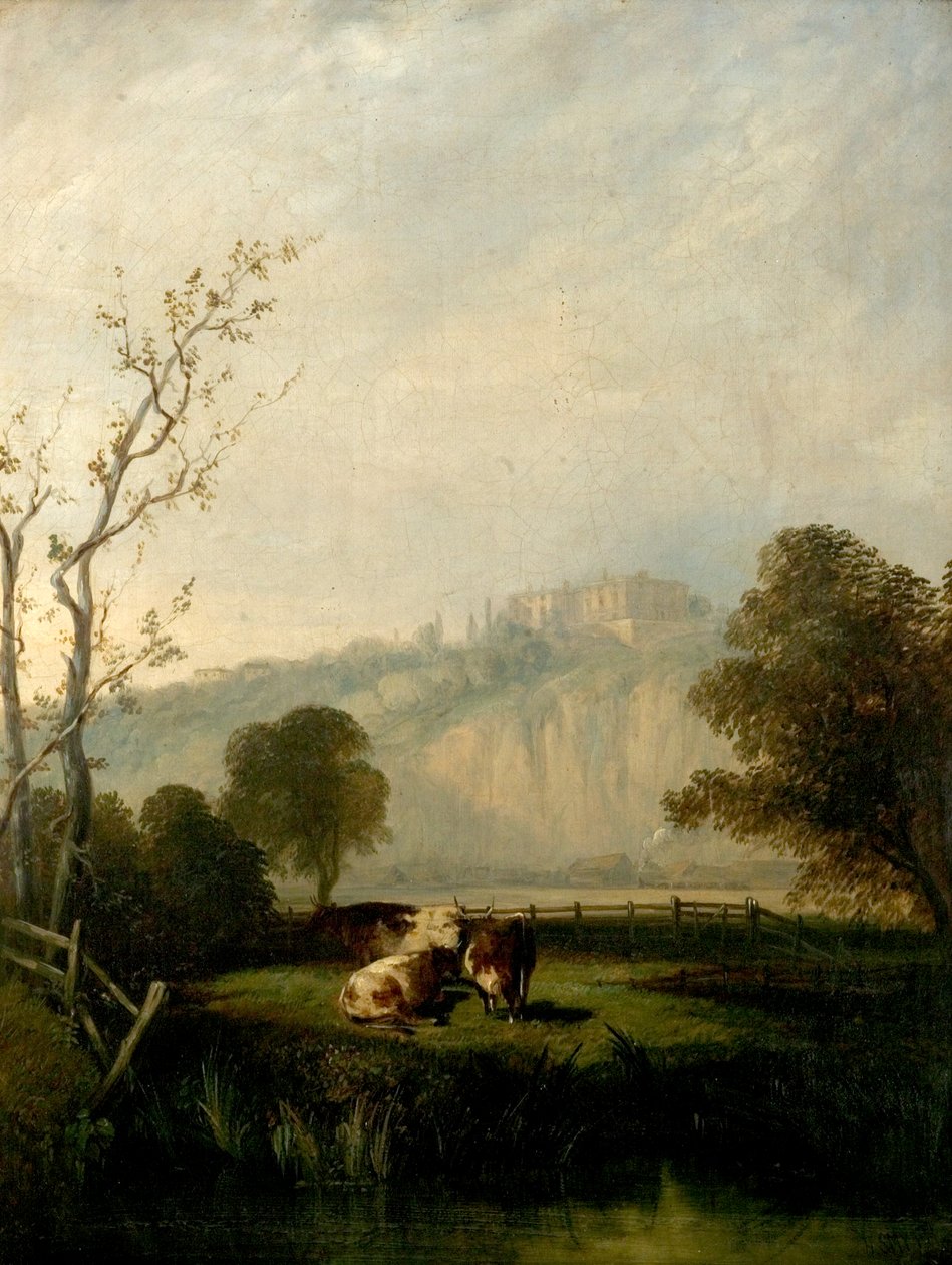 Nottingham Meadows, 1847 av Henry Smyth