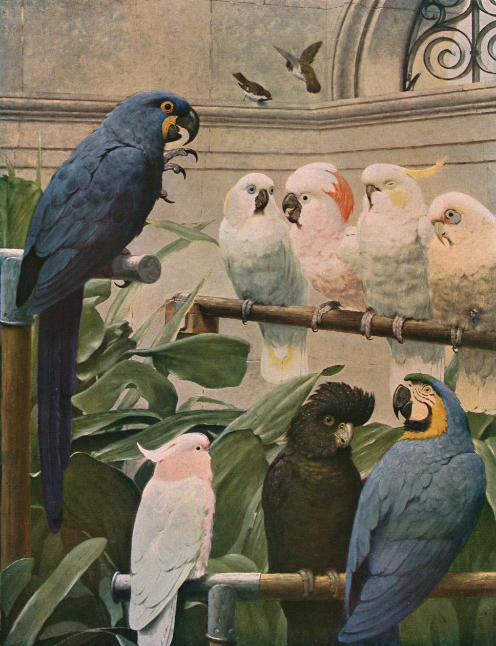 En utvalgt komité, 1891, c1930. av Henry Stacey Marks