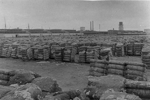 Moody Compress, Galveston (s/hvitt bilde) av Henry Stark