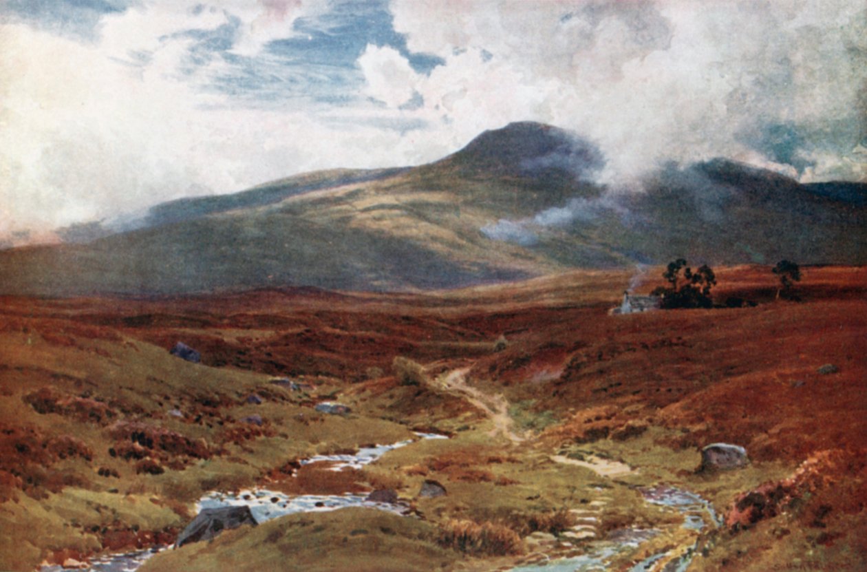 En myr nær Killin, Perthshire (fargelitografi) av Henry Sutton Palmer