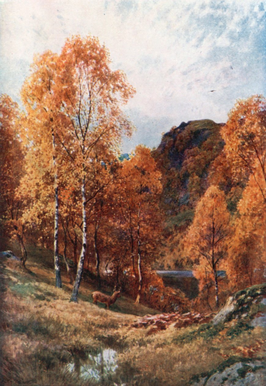Gyllen høst, Trossachs, Perthshire (fargelitografi) av Henry Sutton Palmer