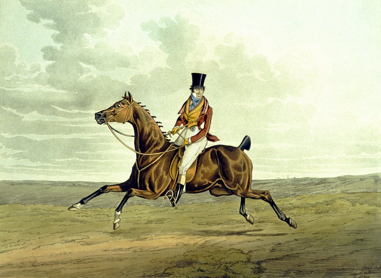 A Meltonian As He Is, gravert fra 'The Meltonians', gravert av George Hunt av Henry Thomas (after) Alken
