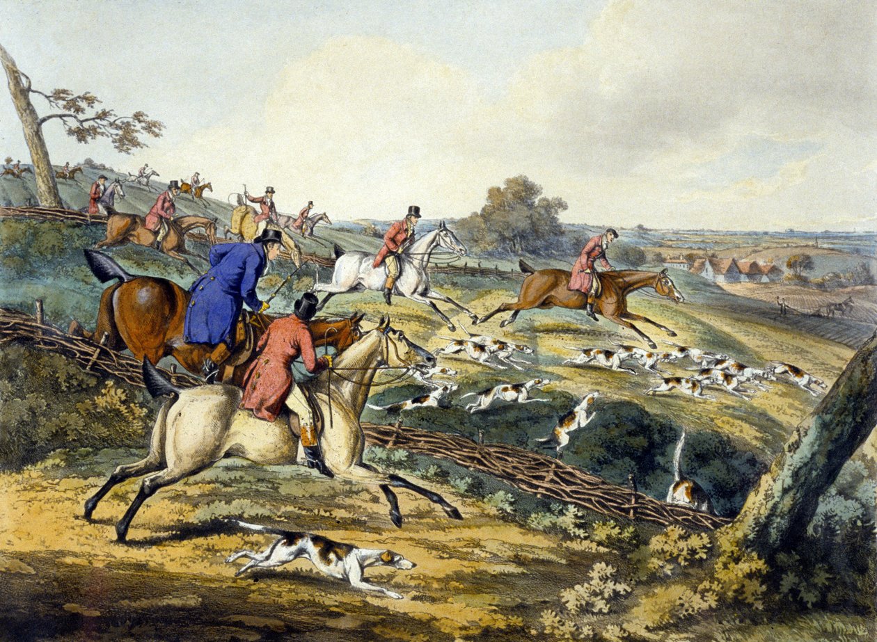 The Full Cry, fra 'Foxhunting', gravert av Thomas Sutherland (1785-1838) (farge litho) av Henry Thomas (after) Alken