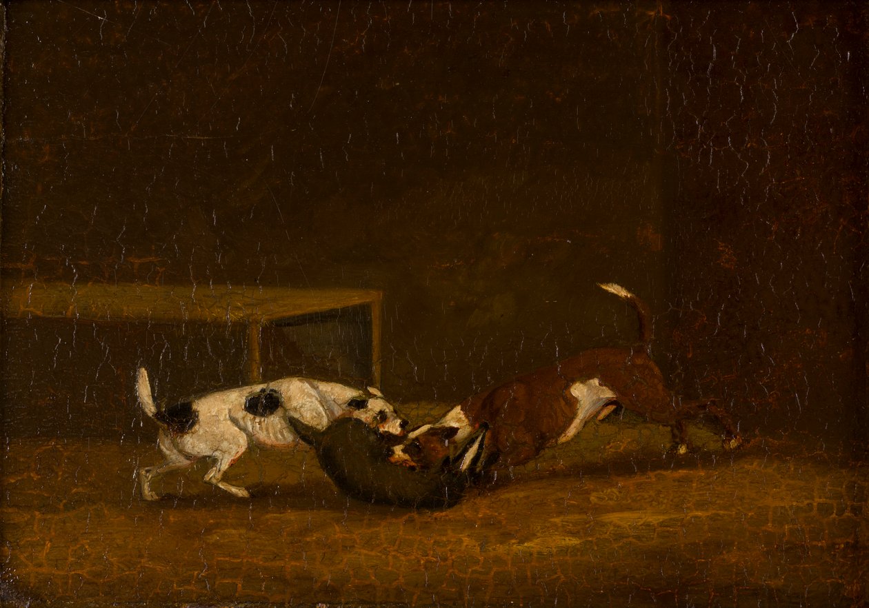 Two Terrier Badger Baiting, ca. 1805-51 (olje på panel) av Henry Thomas (follower of) Alken