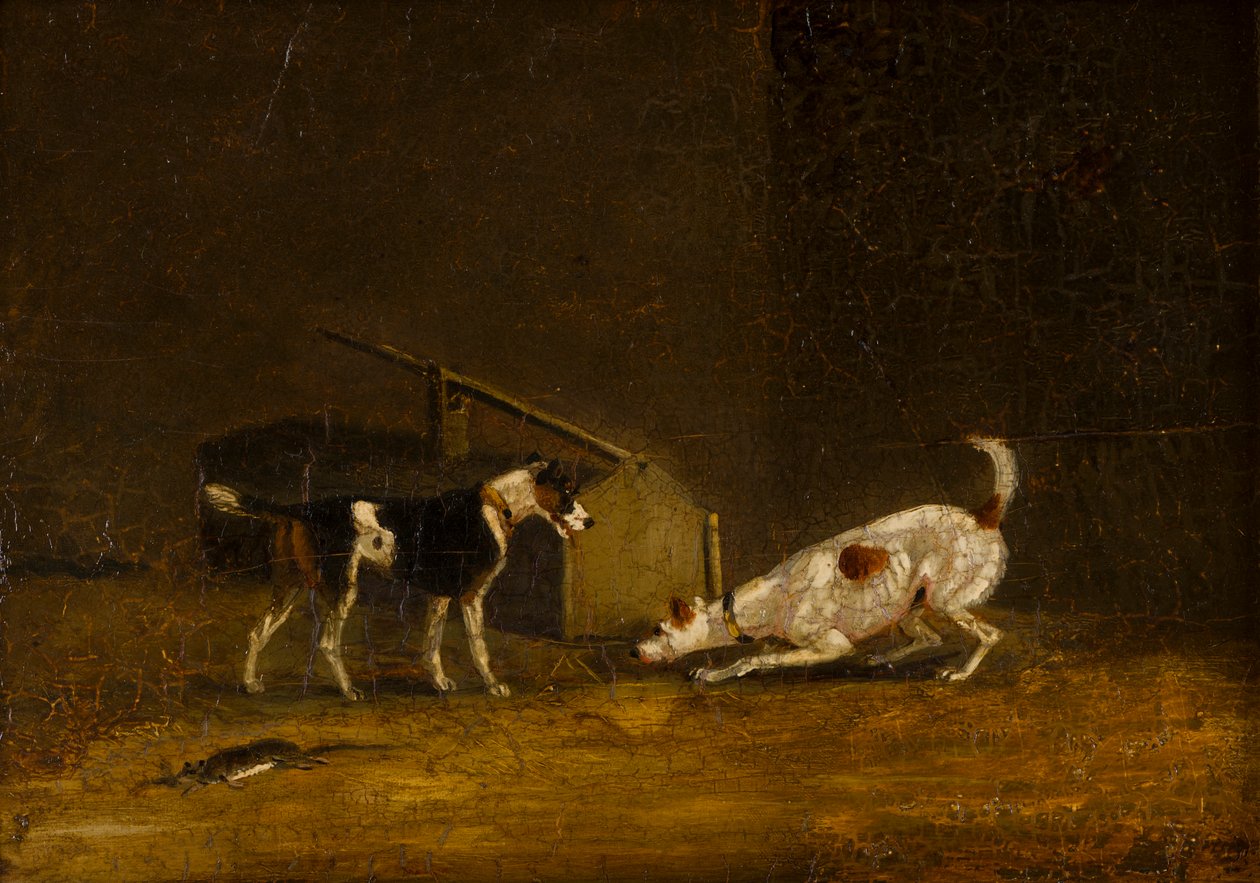 Two Terrier Ratting, ca. 1805-51 (olje på panel) av Henry Thomas (follower of) Alken