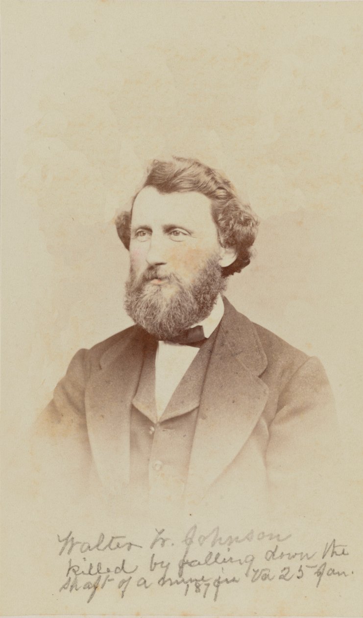Carte-de-visit-portrett av Walter W. Johnson, 1868. av Henry Ulke