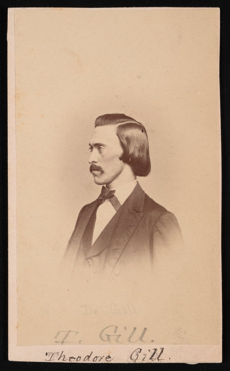 Portrett av Theodore Nicholas Gill 1837-1914, mellom 1865 og 1870. av Henry Ulke